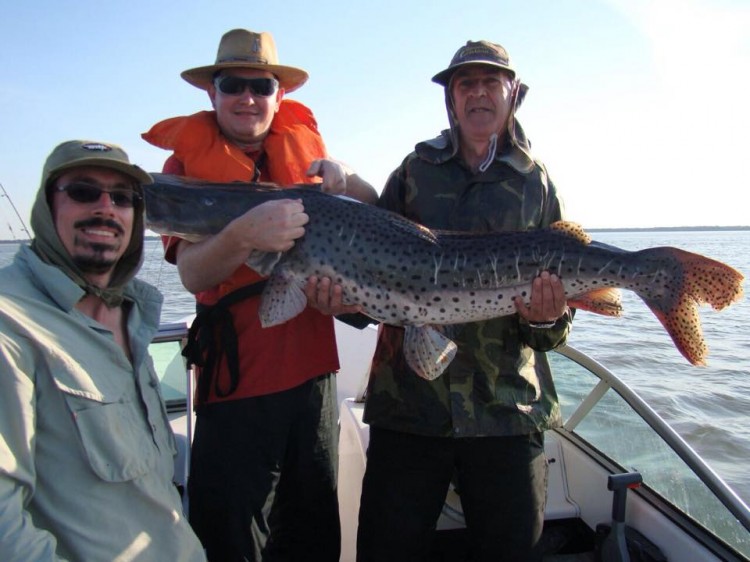 Inverno: tempo da pesca dos gigantes em Corrientes