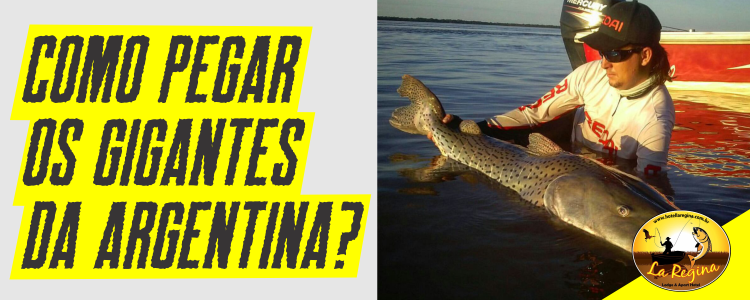 Pescaria na Argentina - Como pescar os gigantes do Rio Paraná 