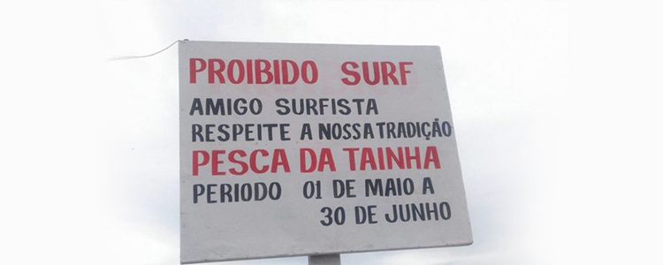 Temporada de pesca a Tainha inicia-se mais cedo em Santa Catarina